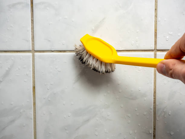 Best Emergency Mold Remediation in Galls, IN