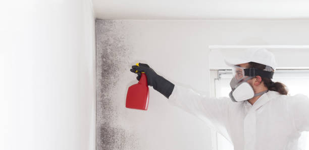 Best Post-Remediation Services in Galls, IN